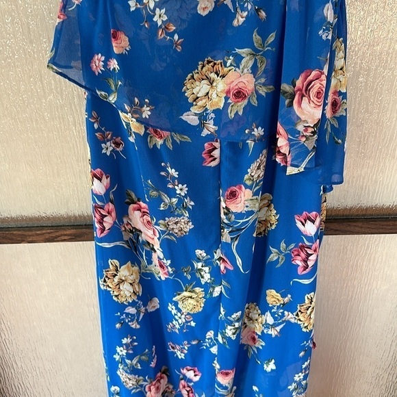 Slate & Willow
Blue Floral Maxi size 2 - Picture 11 of 14
